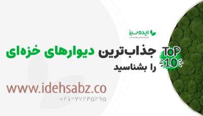 10 تا از جذاب‌ترین و بهترین دیوارهای خزه ای جهان را بشناسید | شرکت ایده سبز