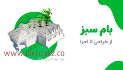 بام سبز یا روف گاردن چیست و چگونه ساخته می‌شود؟ | شرکت ایده سبز