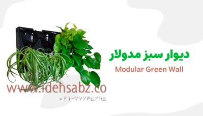 دیوار سبز مدولار | شرکت ایده سبز