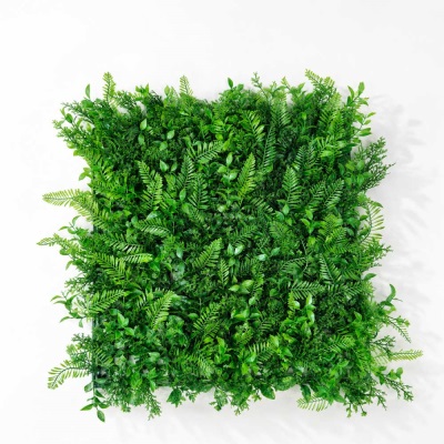 پنل گرین وال سیکاس گشنیز