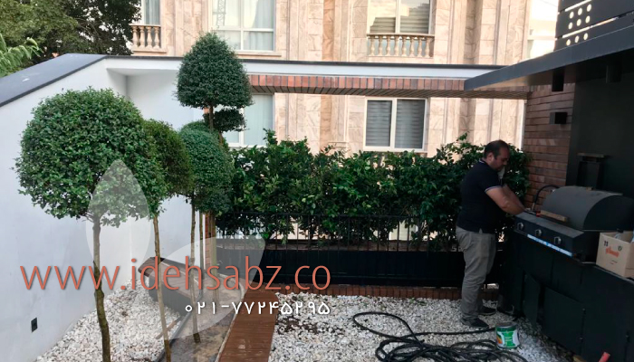 پروژه طراحی و ساخت روف گاردن برای داروخانه خیابان فرشته | مجری شرکت ایده سبز