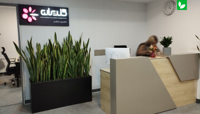 نمونه کار استقرار فلاورباکس برای شرکت گلدیران تهران