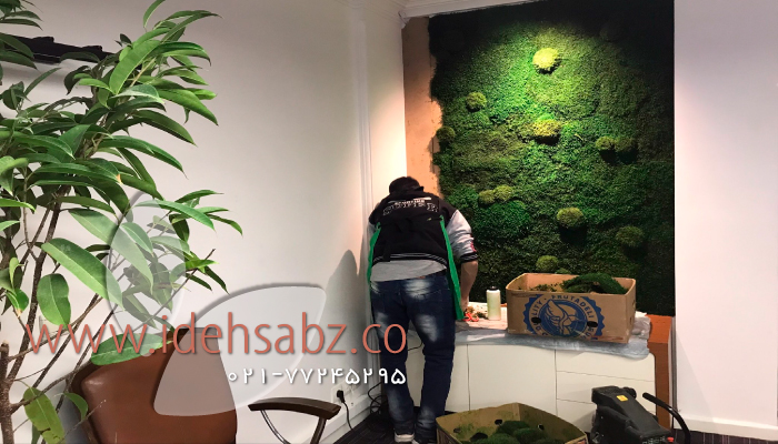 اجرای دیوار سبز خزه ای برای شرکت پارسه هنر | مجری شرکت ایده سبز