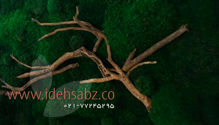 پروژه ماس وال کلینیک زیبایی محدوده جردن | مجری شرکت ایده سبز