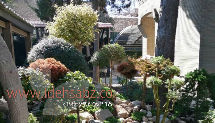 نمونه کار محوطه سازی ویلا در تهران (نوبنیاد) + تصاویر پروژه