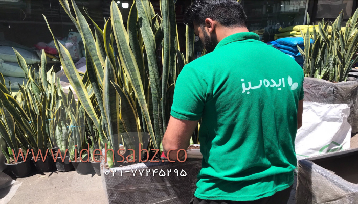 عرضه فلاور باکس فلزی در ابعاد سفارشی + نمونه کار | مجری شرکت ایده سبز