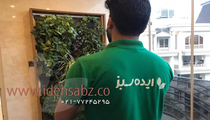 پروژه ترمیم دیوارسبز طبیعی در نیاوران خیابان یاسر | مجری شرکت ایده سبز
