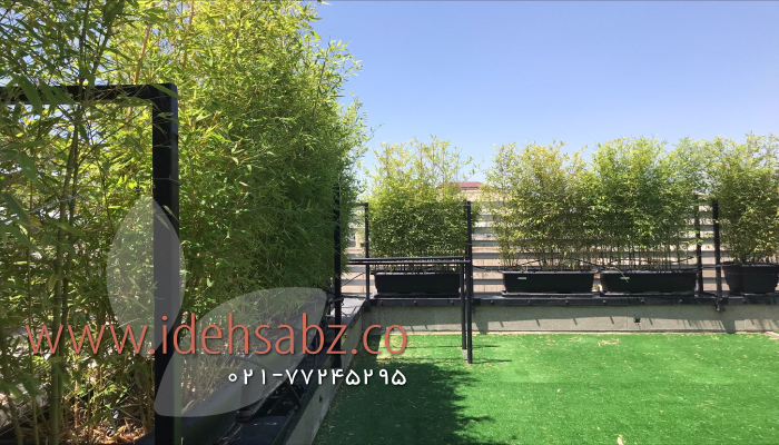 پروژه نگهداری فضای سبز روف گاردن در خیابان شیخ بهایی | مجری شرکت ایده سبز