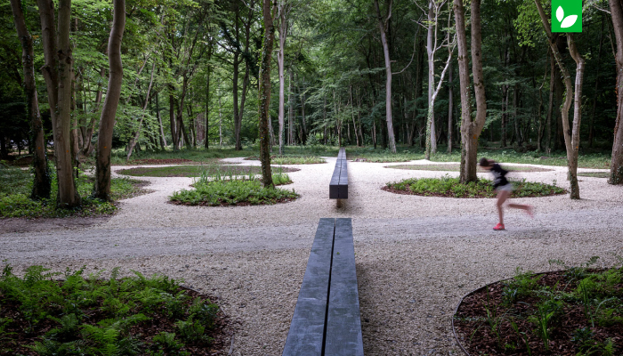 محوطه سازی جنگلی | شرکت ایده سبز