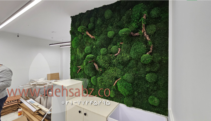 نمونه کار ساخت ماس وال کلینیک زیبایی ونک