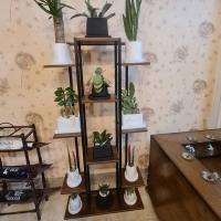 استند گل کتابخانه‌ای | فلز مشکی | رنگ طبقه گردویی