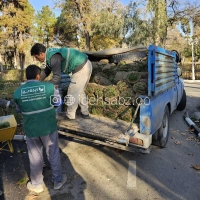 ارسال چمن رولی طبیعی با وانت 