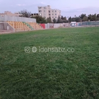 اجرای چمن برموداگرس در زمین فوتبال