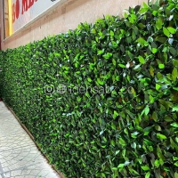 پوشش دیوار با فنس برگی