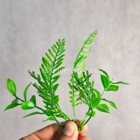 پنل گرین وال سیکاس گشنیز