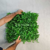 پنل گرین وال سیکاس گشنیز
