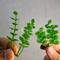پنل گرین وال شمشاد