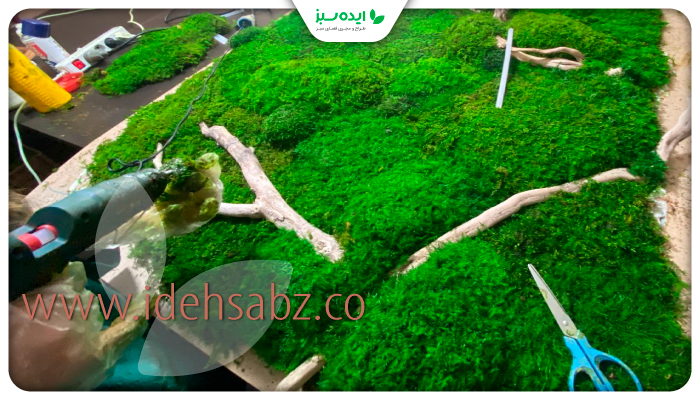 نمونه کار | شاخه آرایی دیوار خزه ای