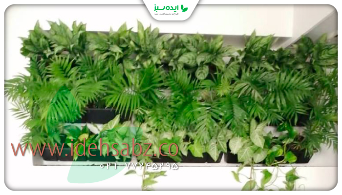 نمونه کار | طراحی گرین وال مصنوعی