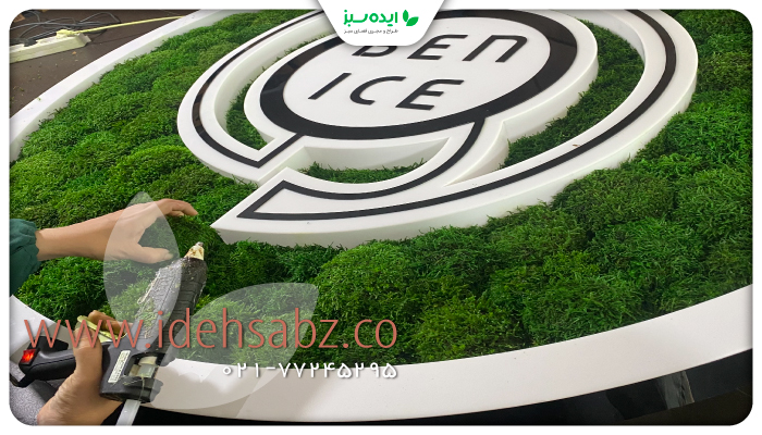 نمونه کار | لوگو ماس مجموعه آیس بن