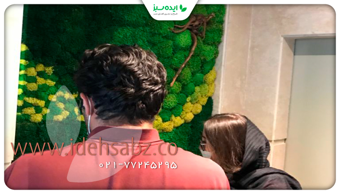 نمونه کار | کار با ماس وال