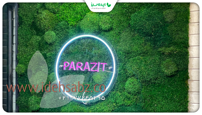 نمونه کار |  ایجاد یک لوگو آرت جذاب به همراه خزه تثبیت شده 
