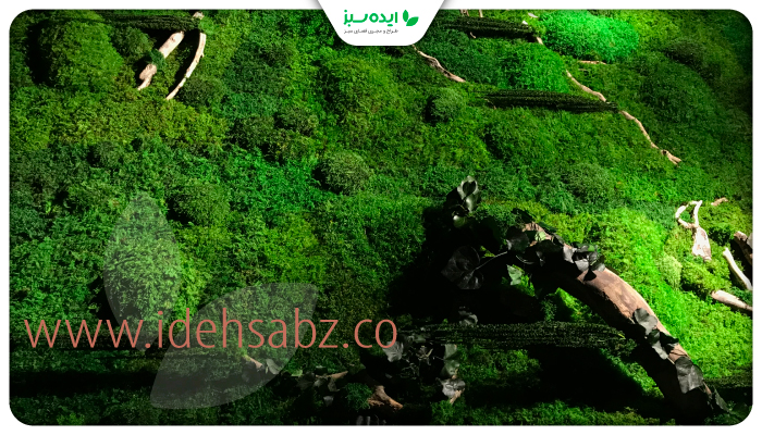 نمونه کار | استفاده از خزه تثبیت شده برای ساخت ماس وال