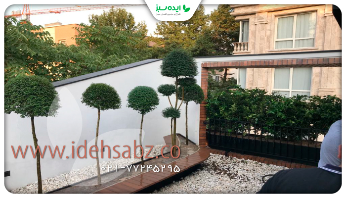 نمونه کار | پروژه بازسازی روف گاردن داروخانه فرشته