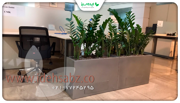 نمونه کار | کاشت گیاهان مناسب محیط اداری