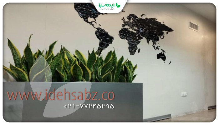 نمونه کار | کاشت گیاه سانسوریا