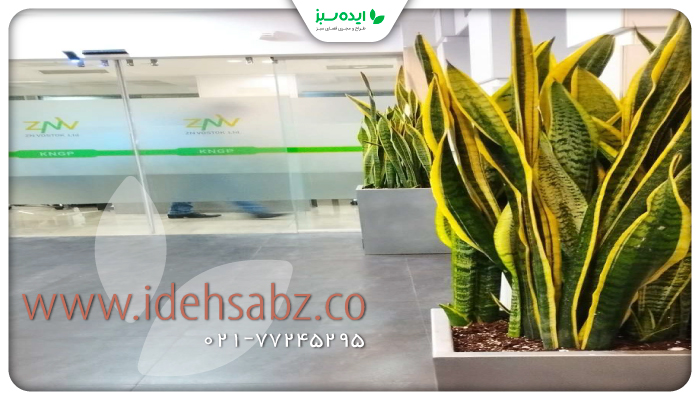 نمونه کار | احیای گیاهان آسیب دیده