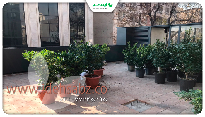 نمونه کار | اجرای بام سبز رستوران