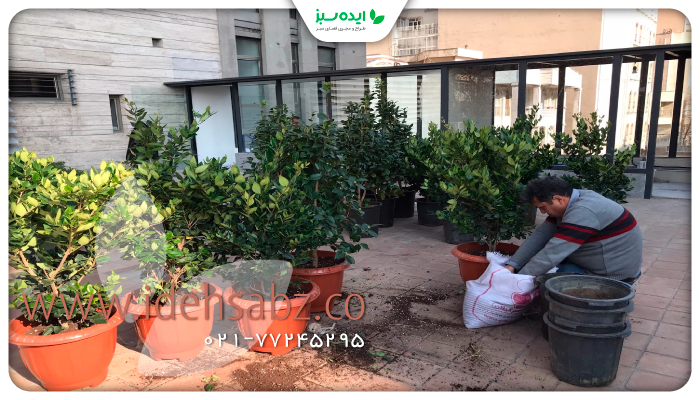 نمونه کار | روف گاردن شیخ بهایی