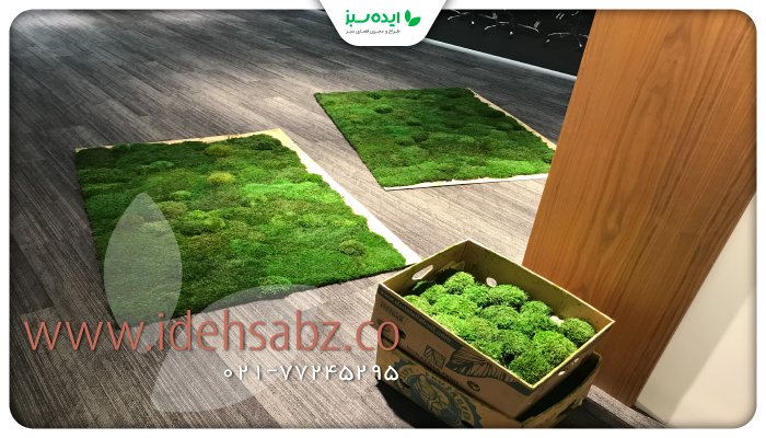 نمونه کار | نصب دیوار خزه&zwnj;ای 
