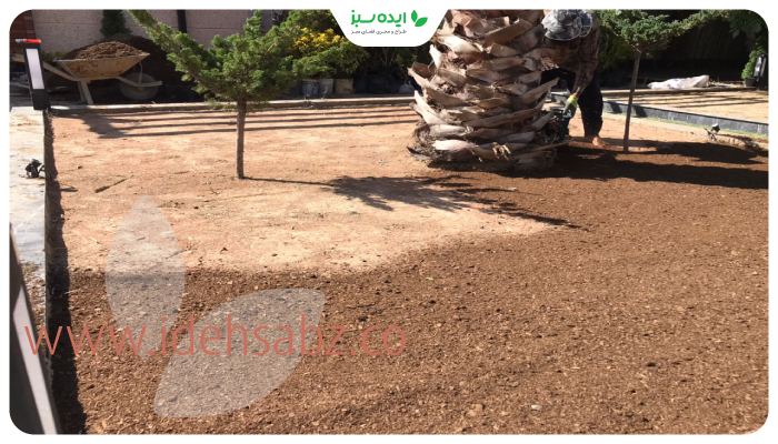نمونه کار | کود مناسب برای کاشت چمن طبیعی