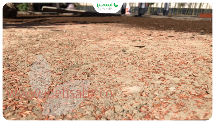 نمونه کار | زیر سازی قبل کاشت چمن طبیعی در کردان