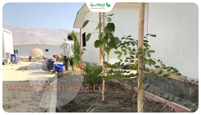 نمونه کار | کاشت بوته و درختکاری در حاشیههای مسیر