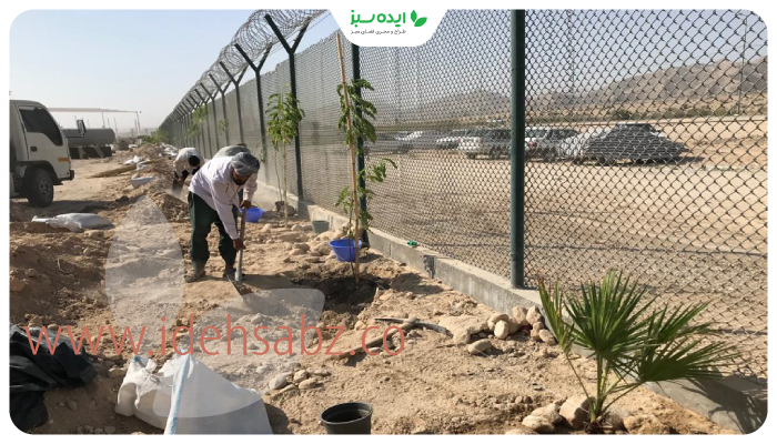 نمونه کار | مراحل کاشت گیاهان مناسب هوای سوزان