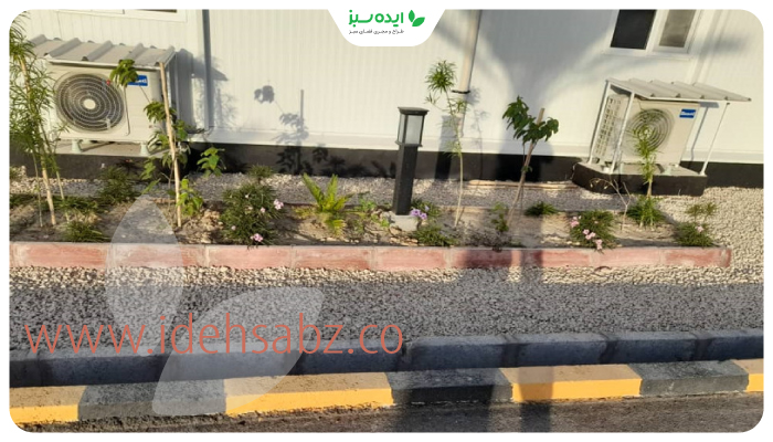 نمونه کار | کاشت گیاهان مناسب هوای گرم در عسلویه