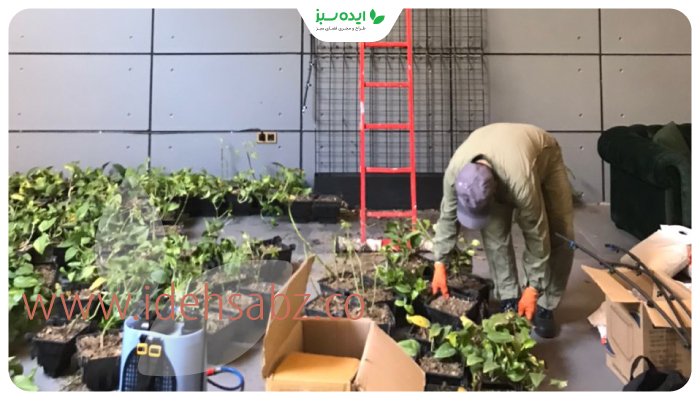 نمونه کار | نصب گیاهان مناسب دیوار سبز شبکه ای