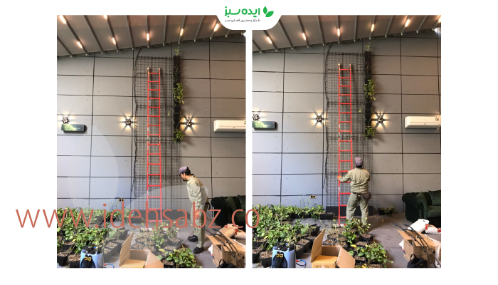 نمونه کار | دیوار سبز  شبکه ای فروشگاه فرش