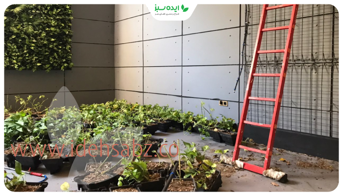 نمونه کار | گرین وال طبیعی فروشگاه فرش