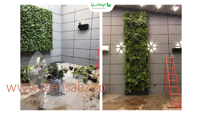 نمونه کار |  دیوار سبز شبکه ای فروشگاه صاحبقران در هفت تیر