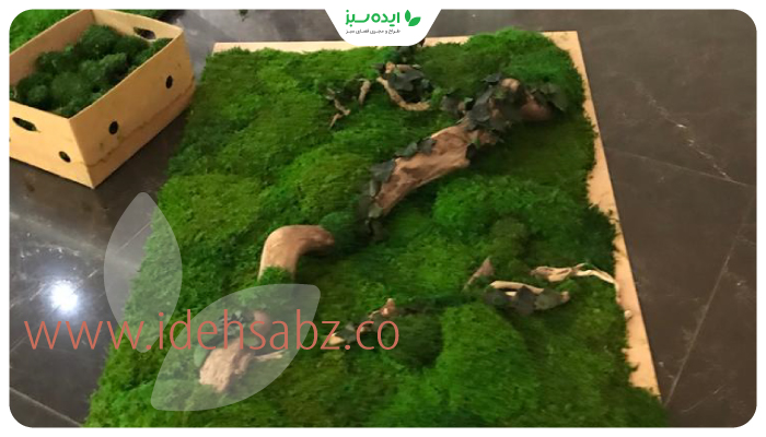 نمونه کار | استفاده از شاخه در دیوار خزهای