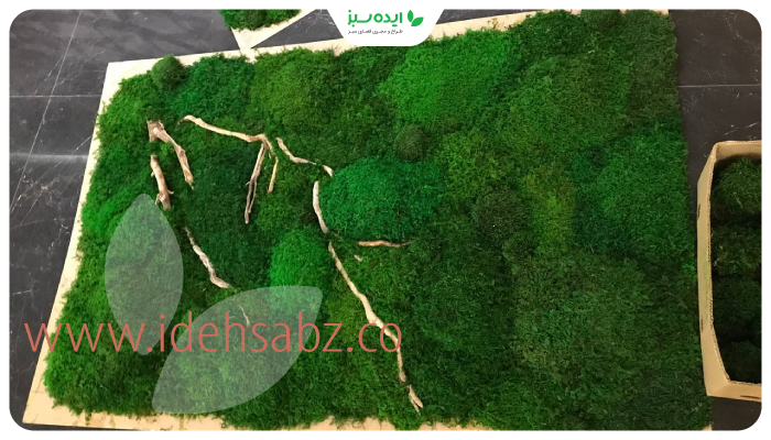 نمونه کار | اجرای ماس فریم