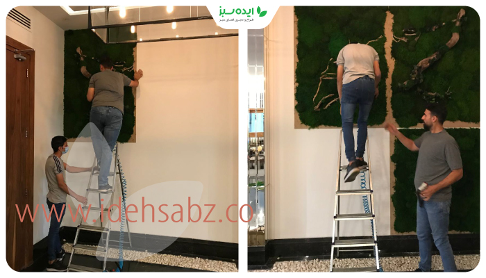 نمونه کار | مراحل اجرای دیوار خزه ای