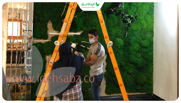 نمونه کار | اجرای دیوار سبز مجتمع مسکونی
