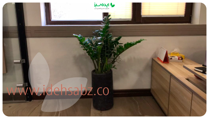 نمونه کار | ایده طراحی محیط اداری شرکت گلدیران