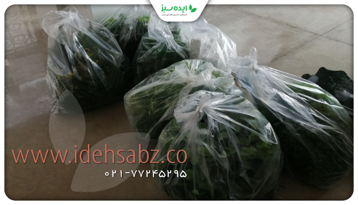 نمونه کار | گیاهان مصنوعی تراس سبز