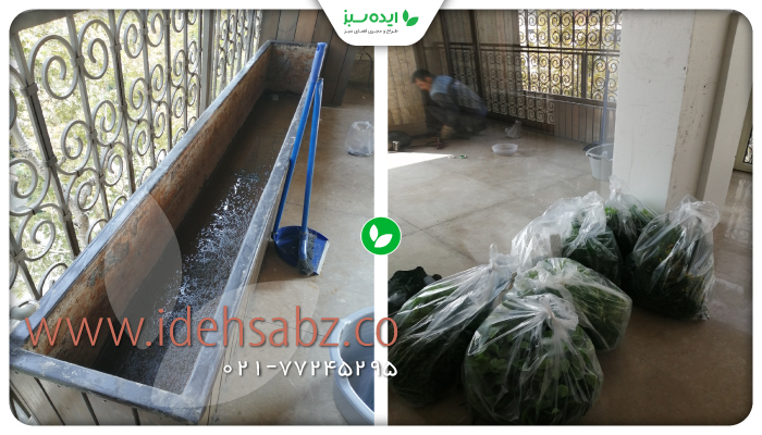 نمونه کار | استقررار فلاور باکس مستطیلی ایده سبز